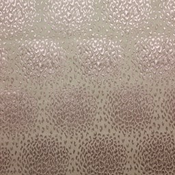 Toon details voor Jazz 71 Care & Clean Afbeelding van Jazz 71 Care & Clean